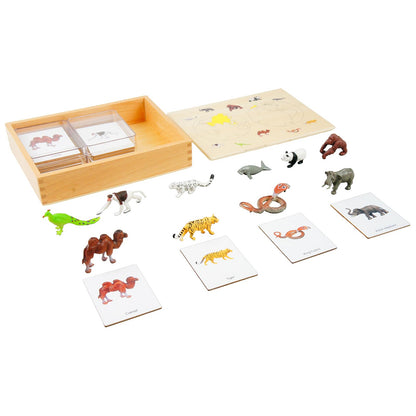 ancona Asian Animals, Spanish/English Bilingual, Montessori Preschool Memory Matching Game Box Set with Animal Figurines & 3-Part Cards, Early Education Toy