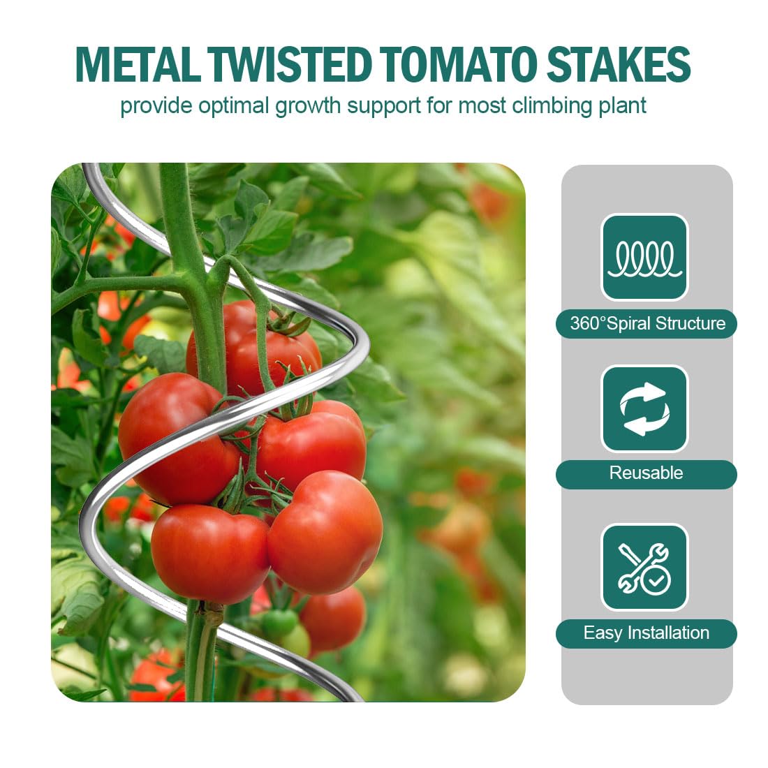 LAKNUAL 58" Galvanized Plant Supports Spiral Tomato Cages, 10 Pack Metal Twisted Tomato Stakes Climbing Plant Stake Tower Outdoor Indoor