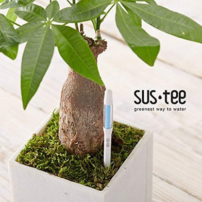 IPPINKA Sustee Aquameter, White, Small, Set of 4 - Soil Moisture Meter for Potted Plants - Plant Water Sensor (Refillable Style)