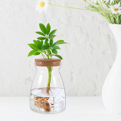 CONGARTENO Glass Flower Vase Hydroponic Succulent Planter Large Trapezoid Glass Vase with Wooden Stopper 3cm Hole for Indoor Plant Terrarium and Floral Arrangement