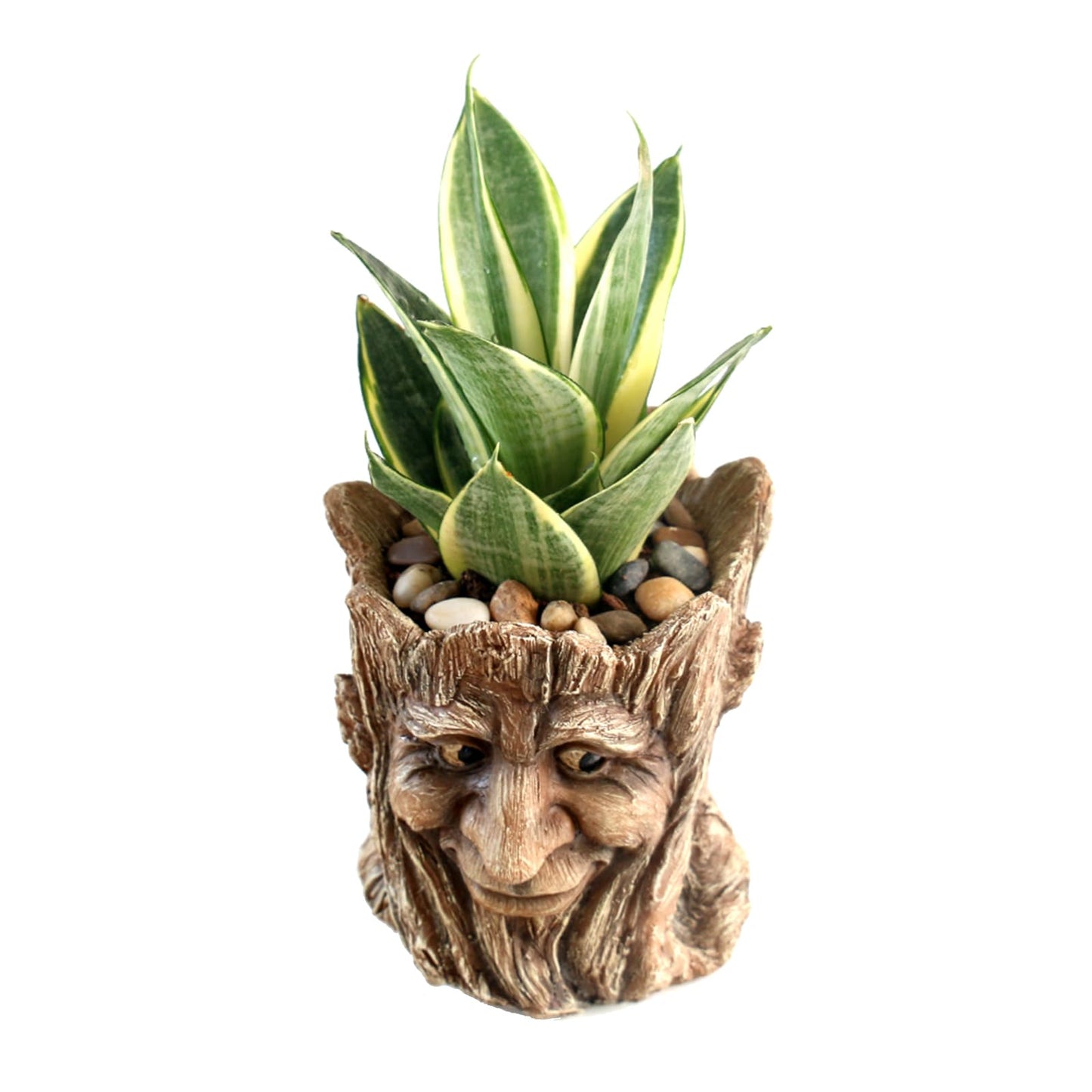 Youfui Funny Planter Head Face Plant Pot with Drainage Hole Resin Succulent Plant Holder Pencil Holder Desk Organizer Office Garden Gift (Smile Face)