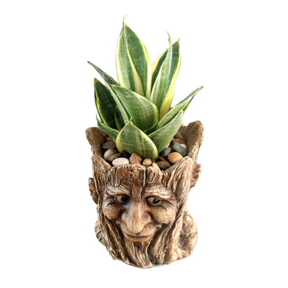 Youfui Funny Planter Head Face Plant Pot with Drainage Hole Resin Succulent Plant Holder Pencil Holder Desk Organizer Office Garden Gift (Smile Face)