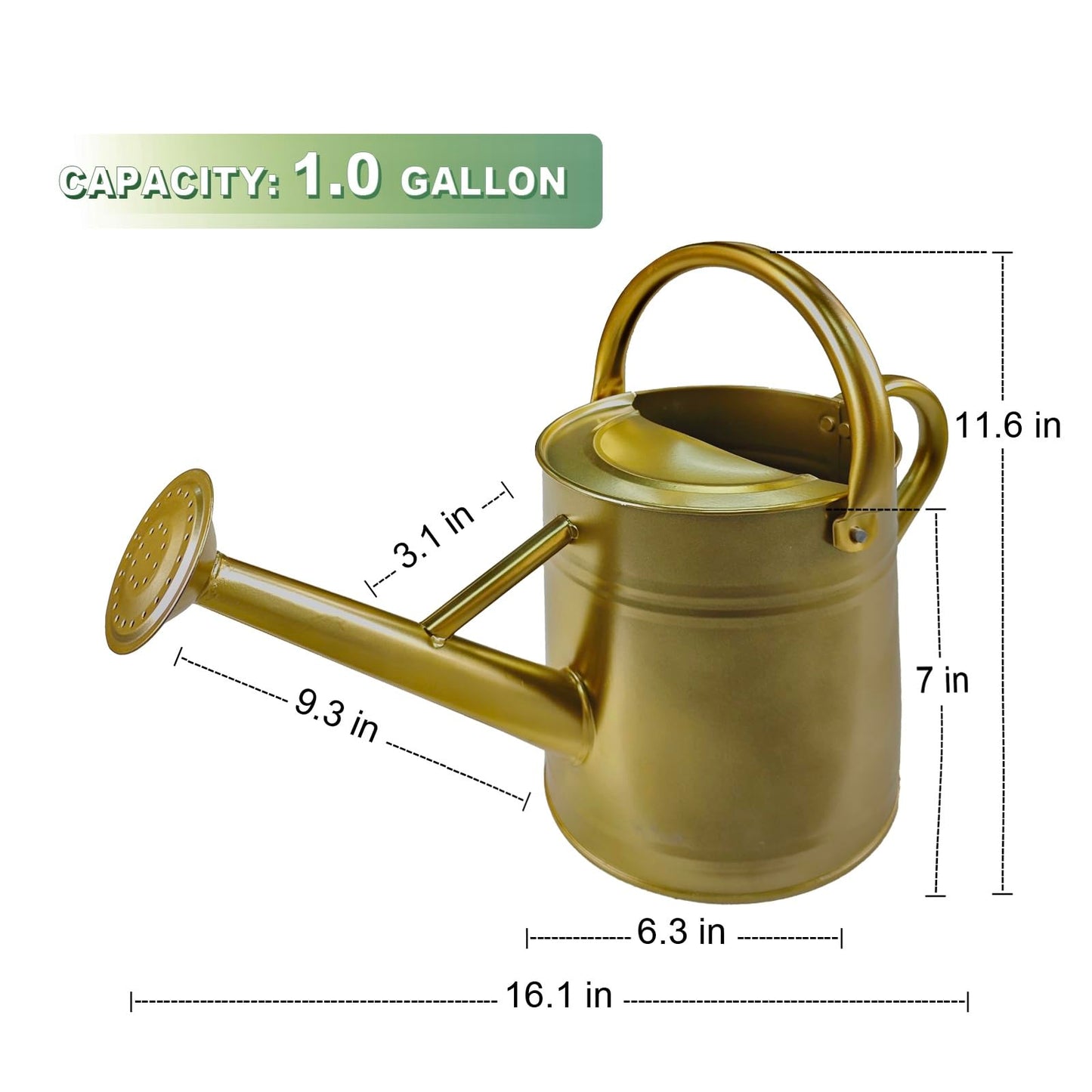 Watering Can for Outdoor&Indoor Plants，1 Gallon Metal Watering Can with with Removable Spout，Galvanized Steel Garden Flower Water Can Plant Watering Pot with 2 Handles，Gold