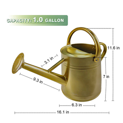 Watering Can for Outdoor&Indoor Plants，1 Gallon Metal Watering Can with with Removable Spout，Galvanized Steel Garden Flower Water Can Plant Watering Pot with 2 Handles，Gold