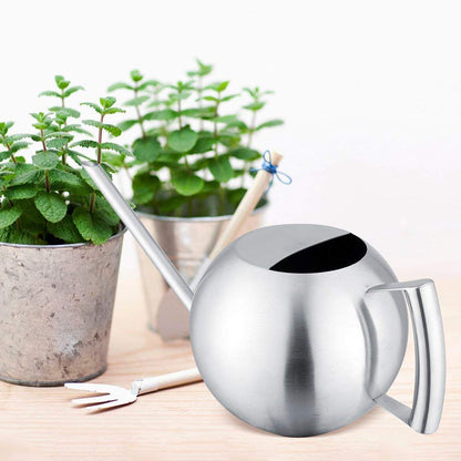 Fdit Watering Can for Indoor Plants, Stainless Steel, Long Spout, 1.0L, Silver, 11.42 Inch