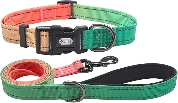 Dog Collar Leash Set, Gradient Color, with Safety Reflective Strips, 5 ft Matching Leash, Neoprene Padded Handle, Adjustable 4 Sizes for Small Medium Large Dogs.(M, Green Orange)