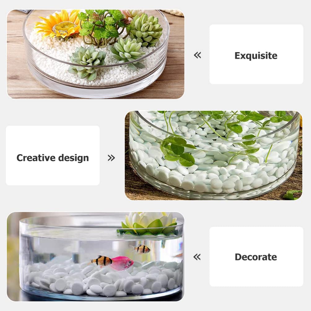 Wide Glass Cylinder Vase, 4" Tall x 8" Wide Thick Heavy Duty Glass Vase for Flower, Plants - Decorative Glass Bowl for Succulents, Indoor Plants, Terrarium, Hydroponic Gardening, Home Decor