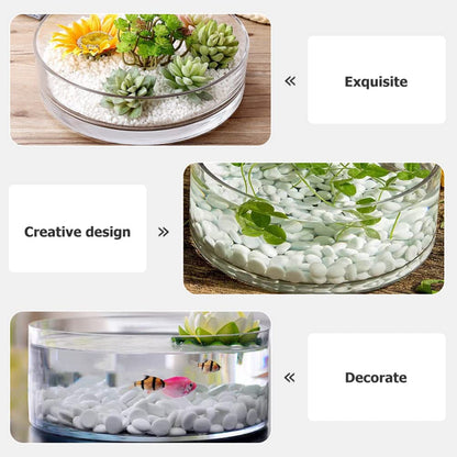 Wide Glass Cylinder Vase, 4" Tall x 8" Wide Thick Heavy Duty Glass Vase for Flower, Plants - Decorative Glass Bowl for Succulents, Indoor Plants, Terrarium, Hydroponic Gardening, Home Decor