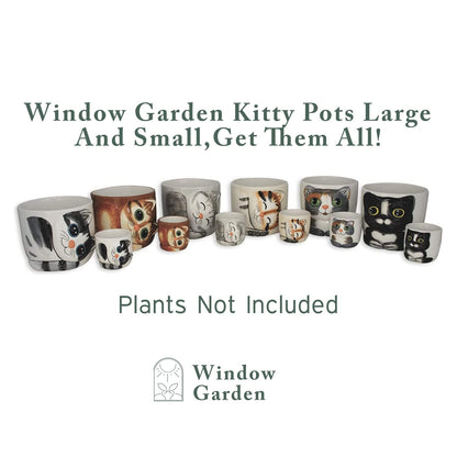Window Garden Animal - Large Kitty Pot (Barney) Purrfect for Indoor Live House Plants, Succulents, Flowers and Herbs, Super for Cat Lovers, Cat