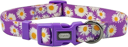 Dog Collar and Leash Set, Cute Daisy Pattern, Polyester Material, 5ft Leash, for Large Dogs.(Large,Purple Daisy)