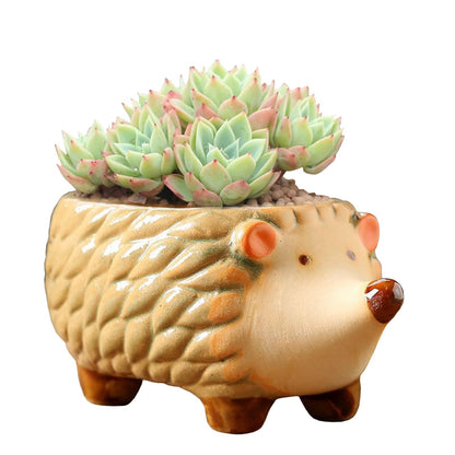 Gaolinci Cute Animal Shaped Ceramic Succulent Cactus Flower Pots (Plant Not Included) (Small, Hedgehog)