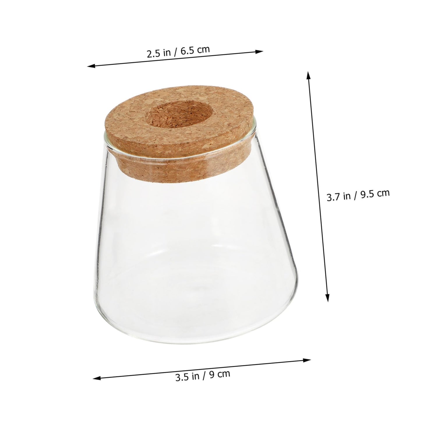 JUMPLAWN 2pcs Hydroponics Glass Planter Stylish Desktop Terrarium for Chic Water-Planting Vase for Indoor Gardening for Plant