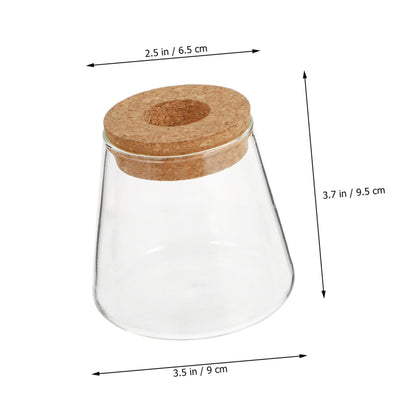JUMPLAWN 2pcs Hydroponics Glass Planter Stylish Desktop Terrarium for Chic Water-Planting Vase for Indoor Gardening for Plant