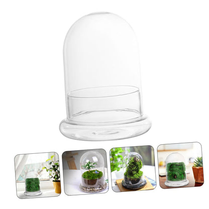 Sosoport Glass Eco Bottle Terrarium Supplies Bell Jar Dome Plant Holder DIY Decor