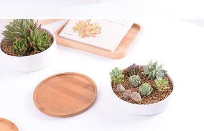 Lawei 3 Pack 6 inch Round Succulent Cactus Planter Pots with Drainage Bamboo Tray - Garden Ceramic Flower Planter Pot