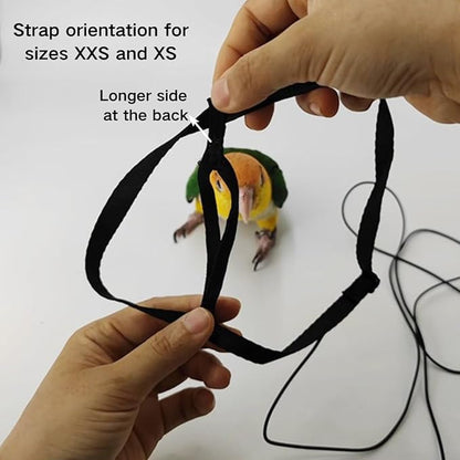 Adjustable Bird Harness and Leash for Parrots Outdoor Flight Training Anti-Bite Light Weight Easy-to-Wear Bird Vest with 59 Inch Elastic Leash for Quaker Conure African Grey Macaw Cockatoo (S)