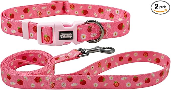 Dog Collar Leash Set, Floral Pattern, Polyester Material, Adjustable Collar and 5ft Matchcing Leash, for Puppy Dogs.(XS, Daisy and Strawberry)