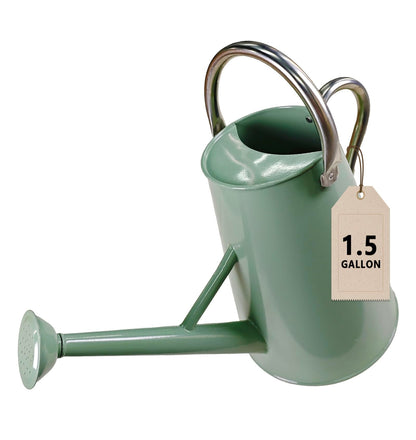 Watering Can for Outdoor&Indoor Plants，1.5 Gallon（5.7L） Metal Watering Can with with Removable Spout，Large Galvanized Steel Garden Flower Water Can Watering Pot with 2 Handles，Cream Green