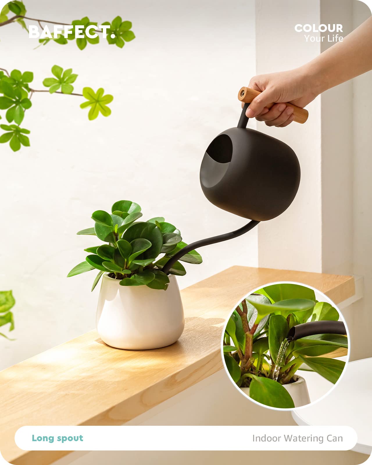 Baffect Watering Can Indoor Plants, 1.2L/41OZ Cute Watering Can Pot, Metal Stainless Steel Garden Water Can with Long Spout for Indoor House Plants Bonsai Outdoor Garden Flower Decorative