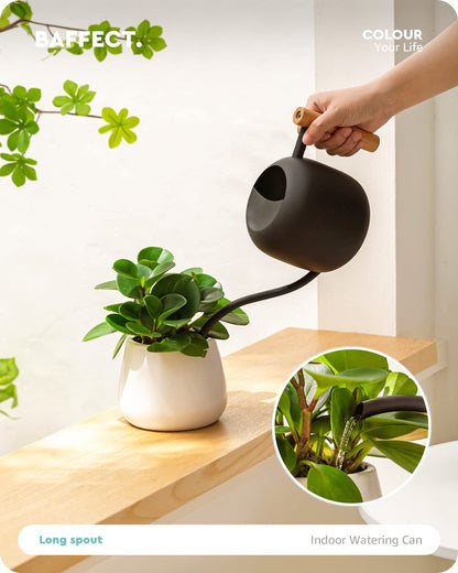 Baffect Watering Can Indoor Plants, 1.2L/41OZ Cute Watering Can Pot, Metal Stainless Steel Garden Water Can with Long Spout for Indoor House Plants Bonsai Outdoor Garden Flower Decorative