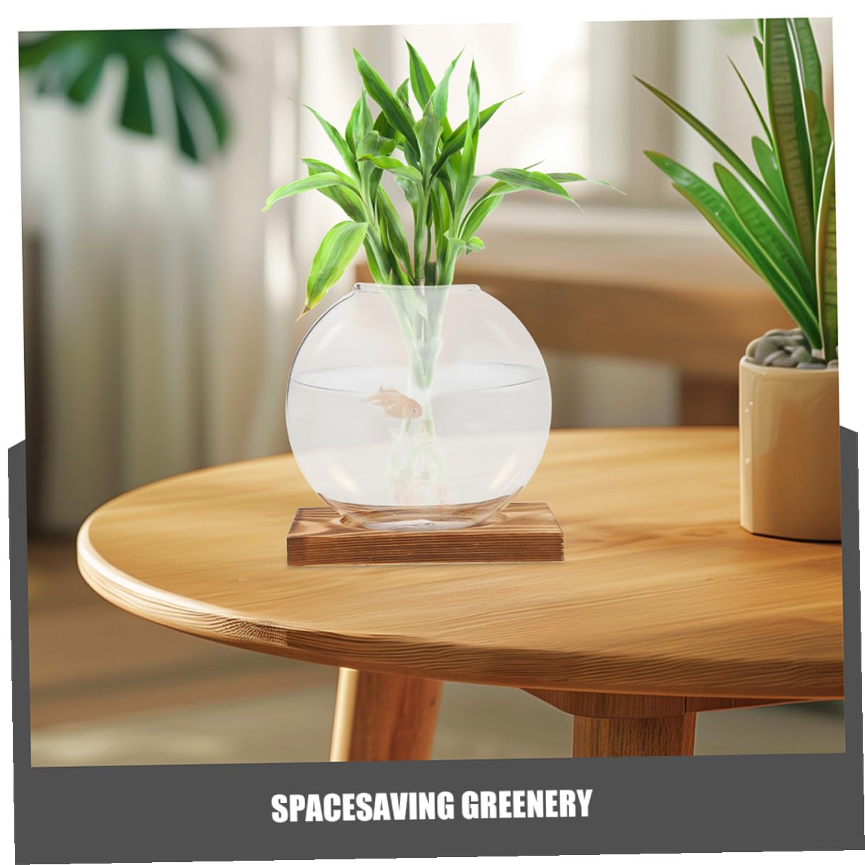 UPKOCH 2pcs Hydroponic Glass Vase with Wooden Stand, Desktop Planter for Indoor Water Plants and Plant Propagation, Contemporary Glass Flower Pot for Home and Office Decor