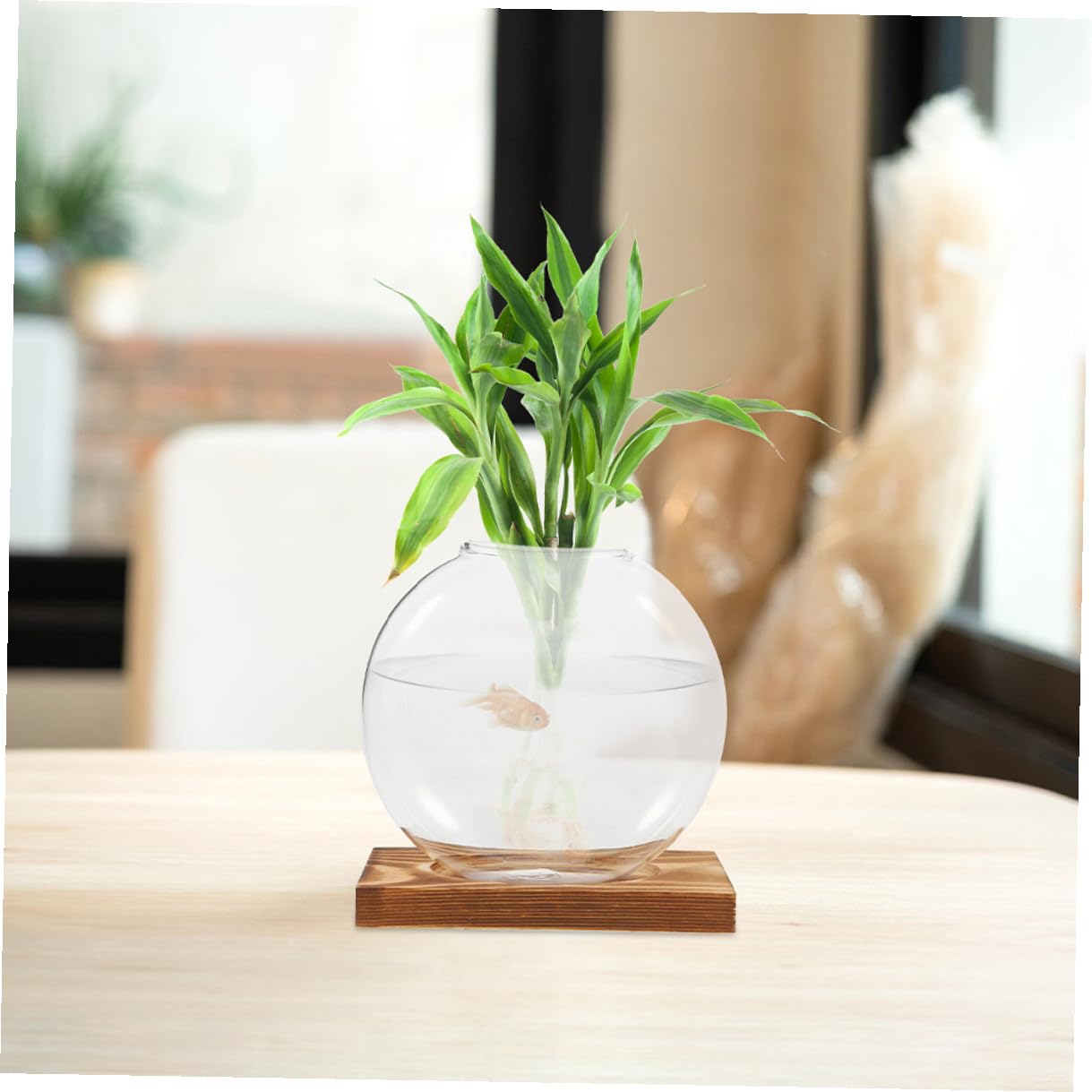 BESPORTBLE 2pcs Glass Vases with Wooden Stand, Hydroponic Propagation Station for Indoor Plants, Decorative Terrarium Pot for Home and Office Gardening