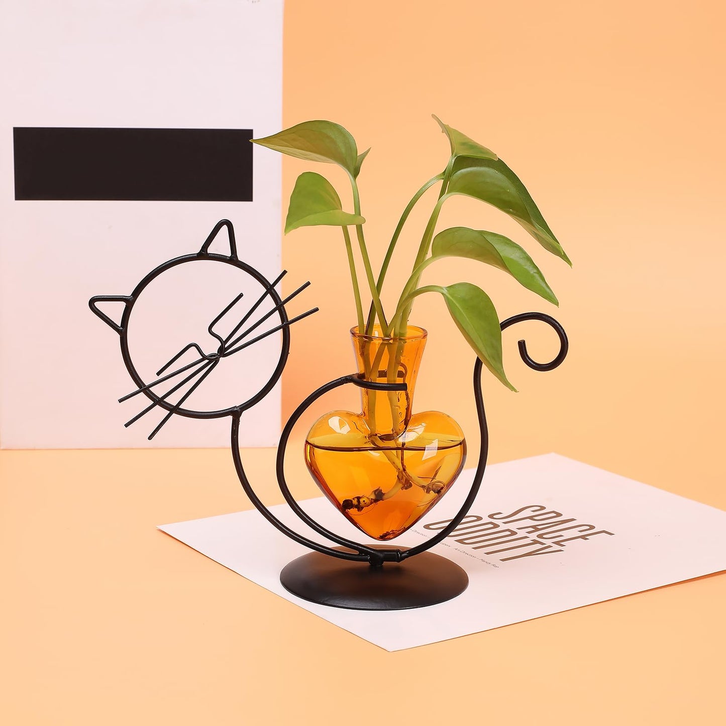 Plant Terrarium Plants Propagation Station Cat Lover Gifts for Women Home Office Decor Cat Desk Accessories