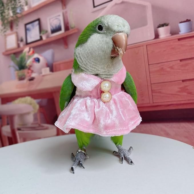 Bird Costume Bird Diaper Flight Suit Parrot Velvet Fleece Skirt Clothes Cosplay Photo Prop for Conure Lovebird Parakeet Cockatiel Macaw Small Animals Apparel (Pink,XX-Large)