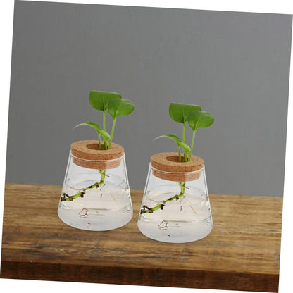 3pcs Hydroponic Glass Plant Vase with Wood Lid Compact Desktop Propagation Station for Plants Clear Terrarium Bottle for Flower Lovers Enhances Indoor Atmosphere