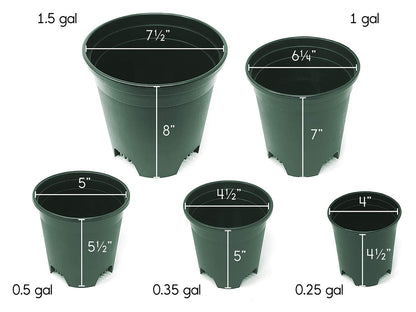 1.5 Gallon Green Nursery Pot Plastic Planters for Outdoor Indoor Plants Gardening Flower Pots 10-Pack 7.5 in Pot Liners with Drainage Holes