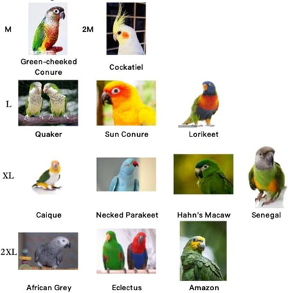 Bird Costume Bird Diaper Flight Suit Cute JK Dress Dress Skirt Clothes Cosplay Photo Prop for Parrots Macaw Cockatoo (Without Diaper,2M)