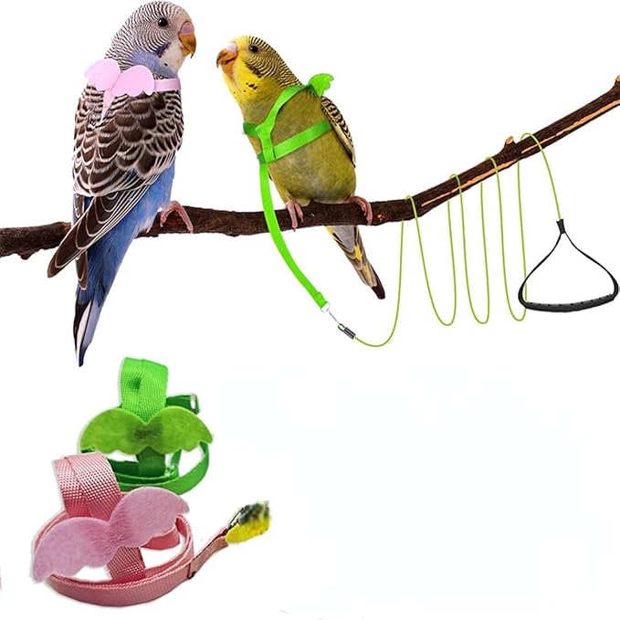 Pet Parrot Bird Harness and Leash, Adjustable Training Design Anti-Bite, Bird Nylon Rope with Cute Wing for Parrots, Suitable for Macaw Cockatoo Cockatiel Lovebird Conure African Grey (Green,S)