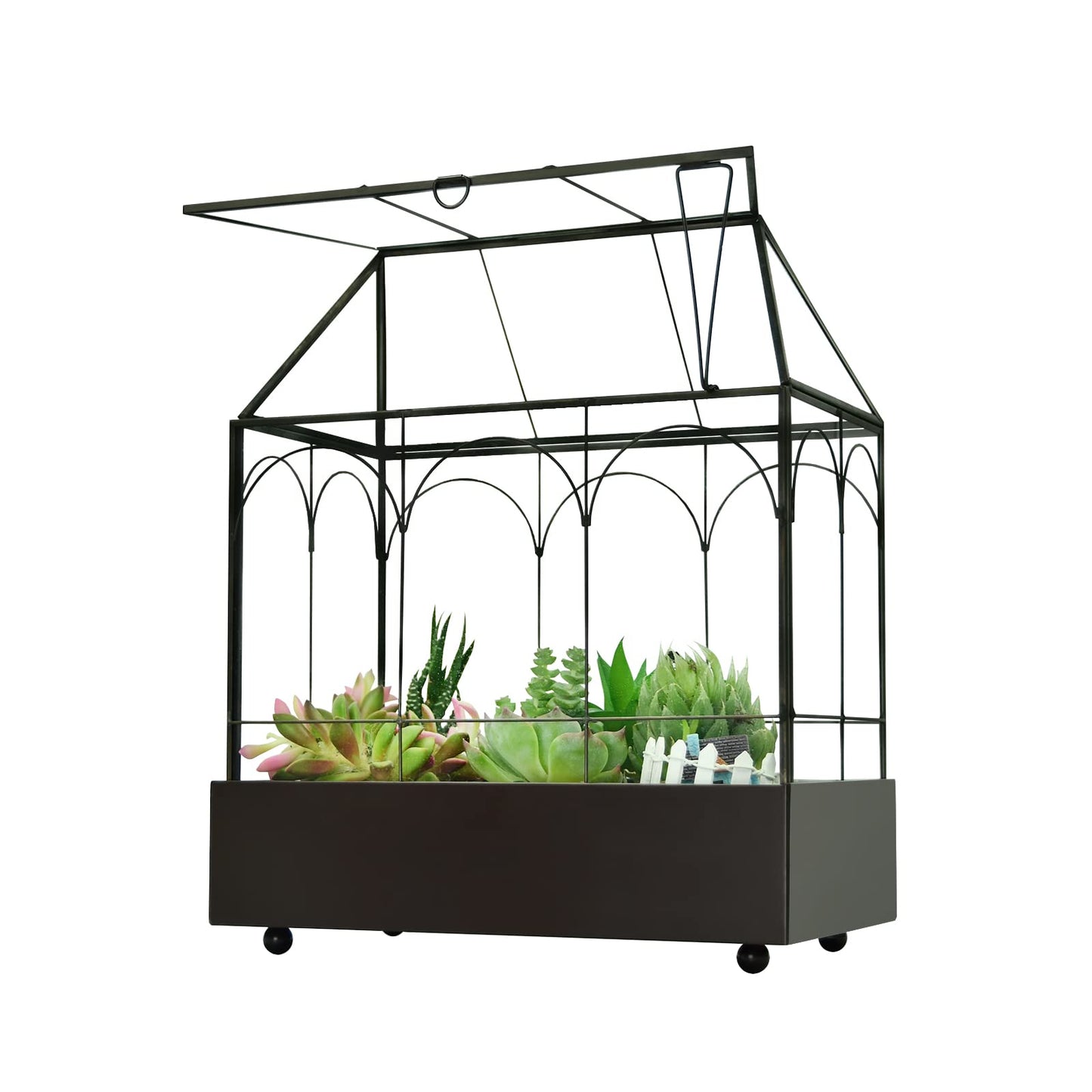 Large Tall Glass Plant Terrarium – House Succulent Terrarium Kit with Lip and Tray Glass Greenhouse Terrarium for Plant 9.5”X5.7”X11.4”