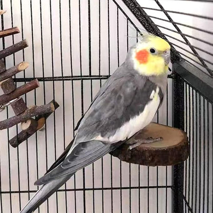 Hamiledyi Perch Platform for Bird Cage,Natural Round Wooden Stand Platform Bird Toy for Canary Parakeet Cockatiel Parrot Budgie Sparrow(3 Pcs)