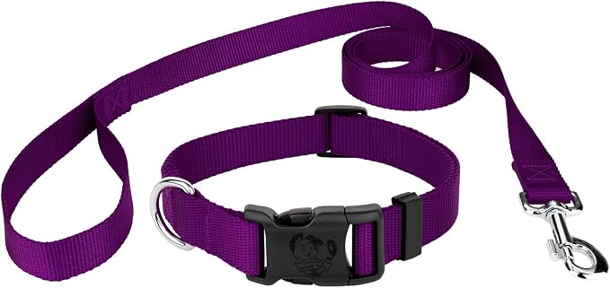 Country Brook Petz - Everyday Nylon Dog Collar and Leash - 10+ Cool Colors (3/8 Inch, 3XS, Purple)