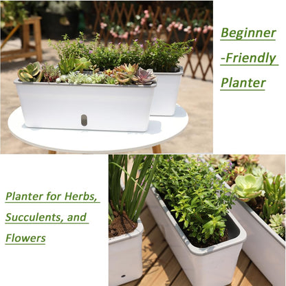 Self Watering Pots for Indoor Plants Rectangular Planter 2 Pack 17.32 inch , Water Level Window Prevent Overwatering for Herbs Vegetable Succulents Strawberry Pot for Garden Windowsill Indoor Outdoor