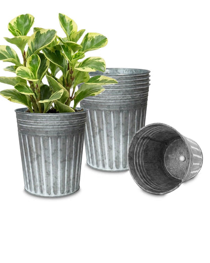 vensovo 7 Inch Galvanized Bucket Planter - 6 Pack Metal Flower Pots with Drainage Holes & Plugs, Rustic Silver Tin Pots for Indoor Herbs, Outdoor Succulents, Farmhouse Home Garden Decor