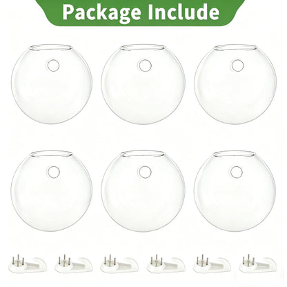 NUPTIO Wall Hanging Planter Terrarium: 4 Inch Glass Air Plant Holder 6PCS Propagation Indoor Floral Vase Flat Round Hydroponic Container Wall-Mounted Floating Pots for Bathroom Balcony Greenhouse