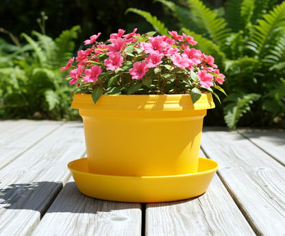 Austin Planter Single Pot with Saucer, 9 inch Yellow, Plastic Flower Pot with Saucer, Seedlings Planter, Nursery Planter, Colorful Flower Planter, Seed Starting Pot