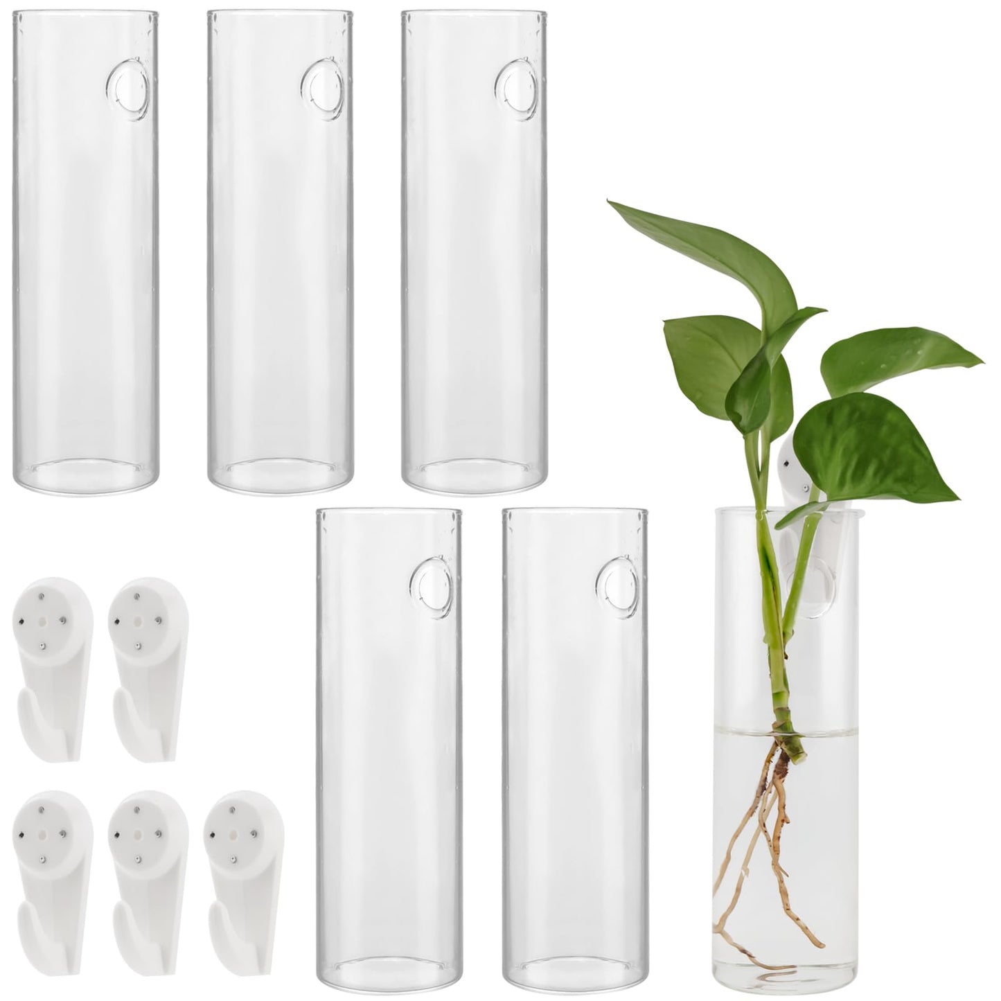 JEUIHAU 6 PCS Glass Wall Mounted Planters, Wall Glass Tube Plant Holder, Plant Propagation Containers for Hydroponics Plants, Garden Decor
