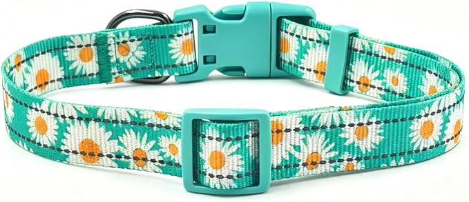 Dog Collar Leash Set, Floral Pattern, with Safety Reflective Strips, 5 ft Matching Leash, Neoprene Padded Handle, Adjustable 4 Sizes for Small Medium Large Dogs.(M, Green Daisy)