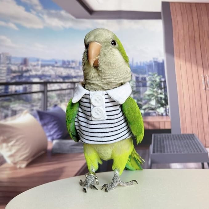 Bird Diaper Flight Suit Summer Clothes Cosplay Photo Prop for Parrots Lovebird Parakeet Cockatiel Small Animals Apparel (With Diaper, African Grey)