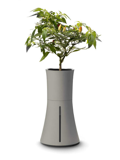 Botanium Hydroponic and Automatic Indoor Gardening Pot, Grey