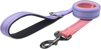 Dog Collar Leash Set, Gradient Color, with Safety Reflective Strips, 5 ft Matching Leash, Neoprene Padded Handle, Adjustable 4 Sizes for Small Medium Large Dogs.(XS, Lilac Pink)