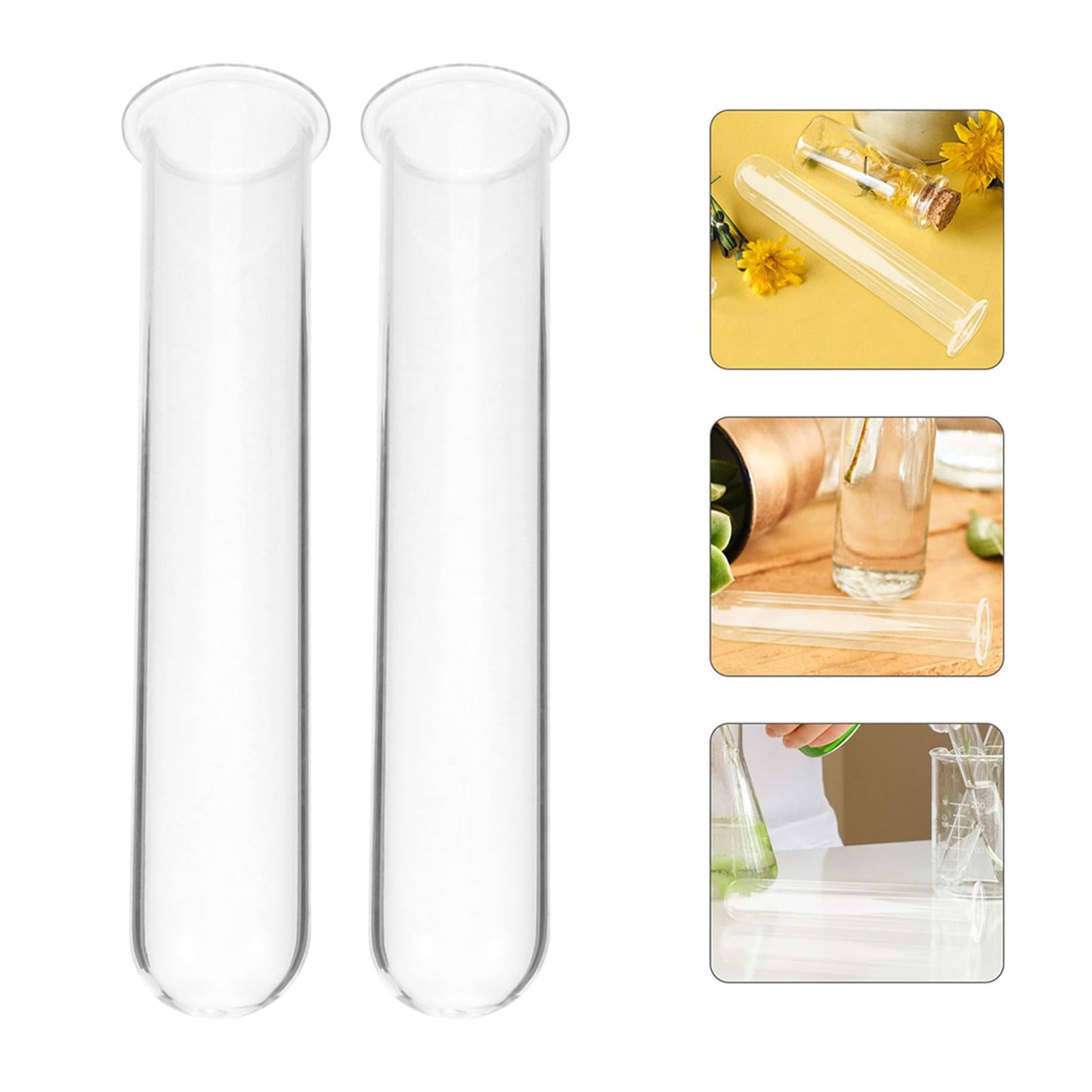 Beaupretty 5pcs Glass Hydroponic Test Tube Plant Vases for Small Terrarium Plants Floral Propagation Tubes 2.5x3x15cm Glass Containers for Indoor Garden Décor