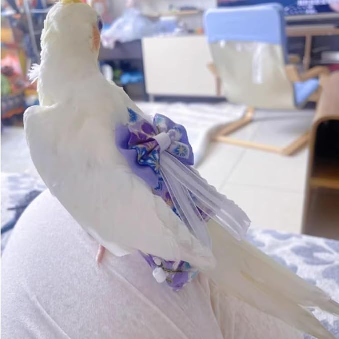 Bird Diaper Cockatiel Clothes Flight Suite, Reusable Parrot Nappy with Waterproof Inner Layer, Cute Pigeon Pants Urine Wet Suit Costume for Conure Macaw (Blue C,Pigeon)