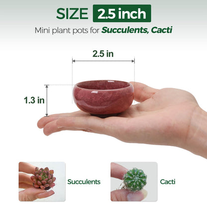 T4U 2.5 Inch Small Ceramic Succulent Planter Pot with Drainage Hole Set of 6, Ice Crack Glaze Plant Container for Cactus, Gardening Plant Gifts for Women Mom Aunt Home Office Decor