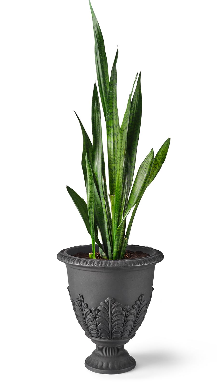 ARBORA 17" Paris Urn Polyresin Indoor and Outdoor Planter with Black Finish - Durable, Weatherproof, Lightweight, Large Plant Pot for Patio, Garden, Deck, Entryway