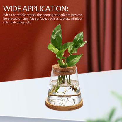 2pcs Glass Plant Propagation Station with Wooden Base Hydroponic Plants Vase for Indoor Decor Glass Terrarium Vase Jars Home Kitchen Decorations and Gifts for Planter Lovers