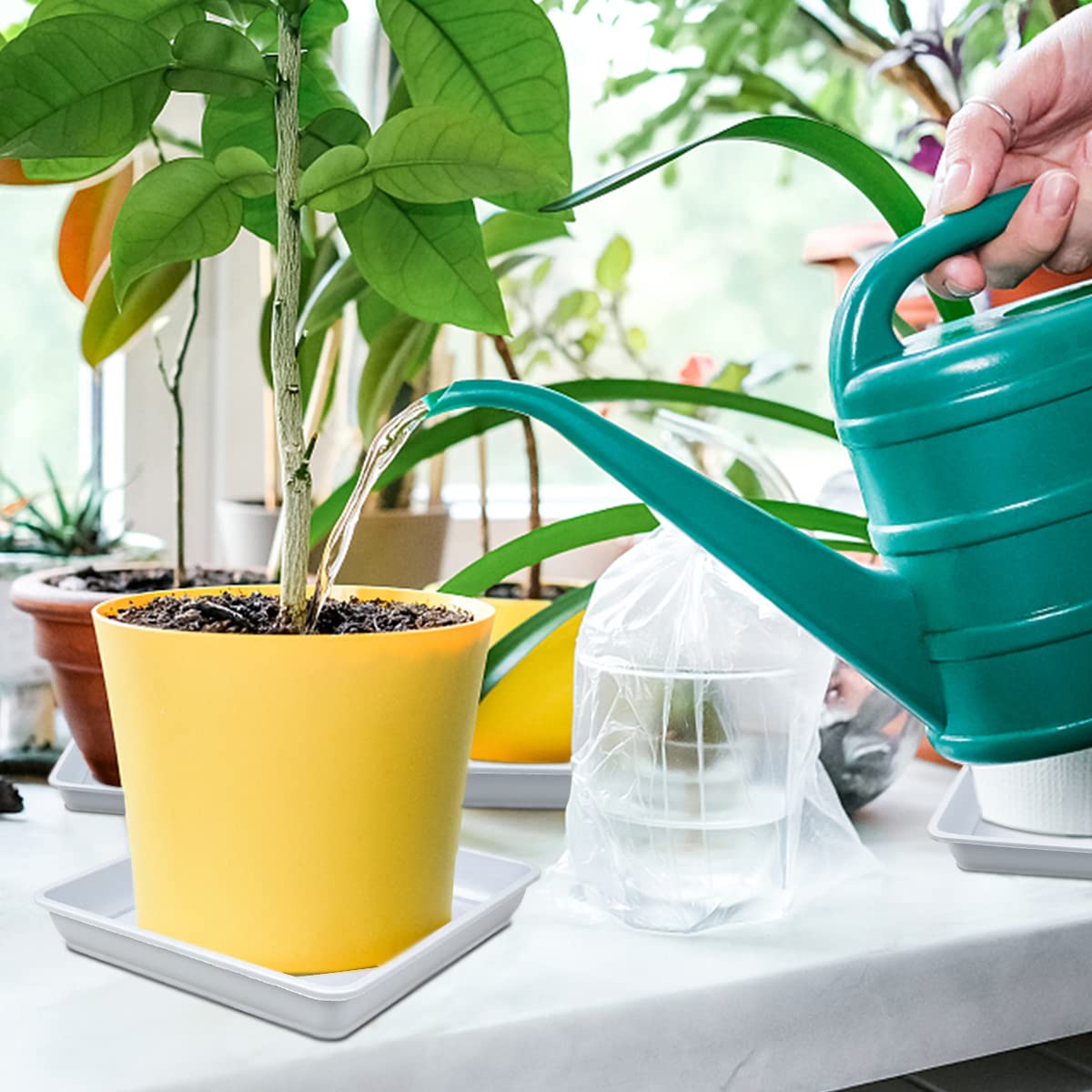 LNQ LUNIQI 10 Pcs 6 Inches Square Plastic Plant Saucer Flower Pot Bottom Seat Flower Pot Tray Thick Plastic Drip Tray for Garden Potted Water Drips and Soil （White）